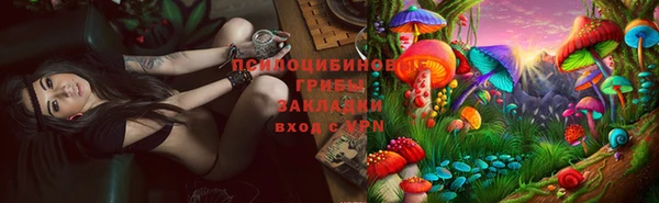 Альфа ПВП Володарск
