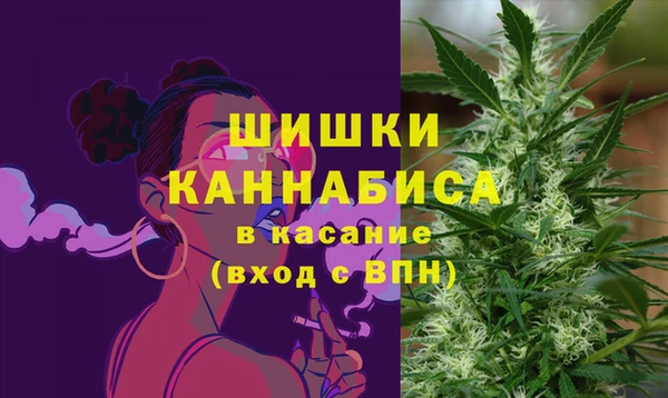 Альфа ПВП Володарск